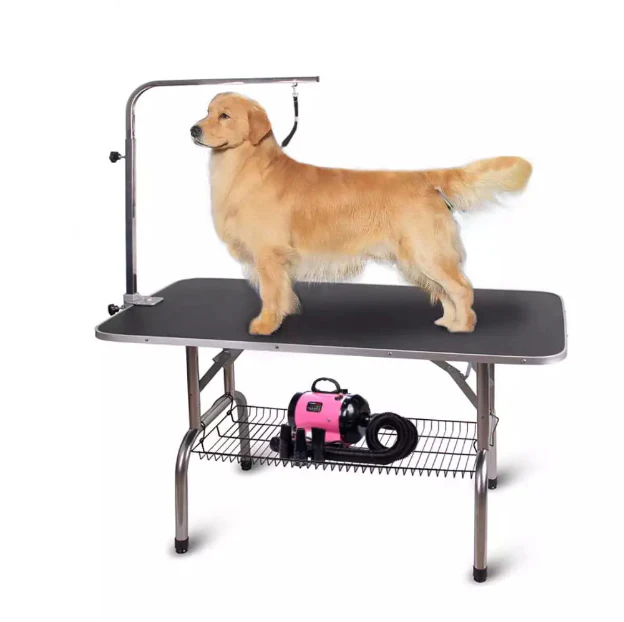 Pet Supplies